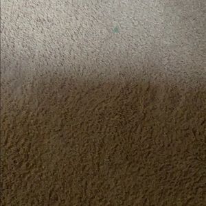 Meet your Posher, Gary